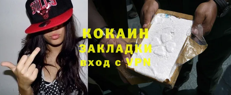 Cocaine Fish Scale  где купить   Асино 