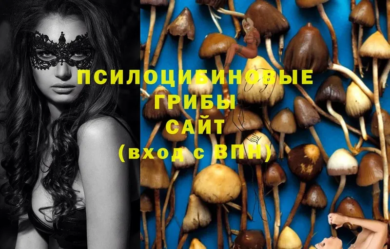 Галлюциногенные грибы MAGIC MUSHROOMS  Асино 